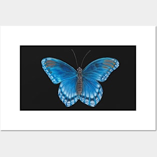 Bright Blue Butterfly Illustration Posters and Art